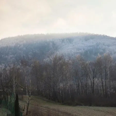 Na Bukowym Stoku Casa vacanze Czaniec